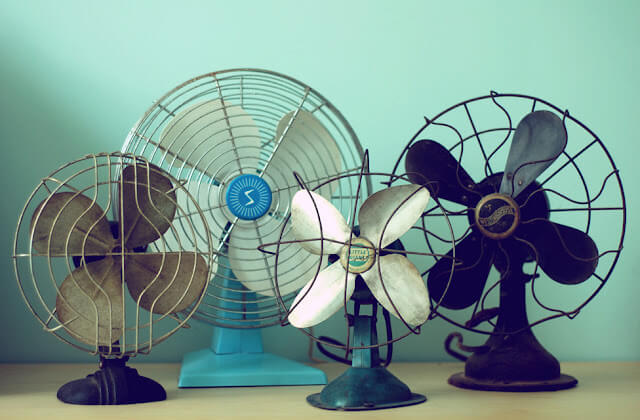 vintage-fan-collection-group